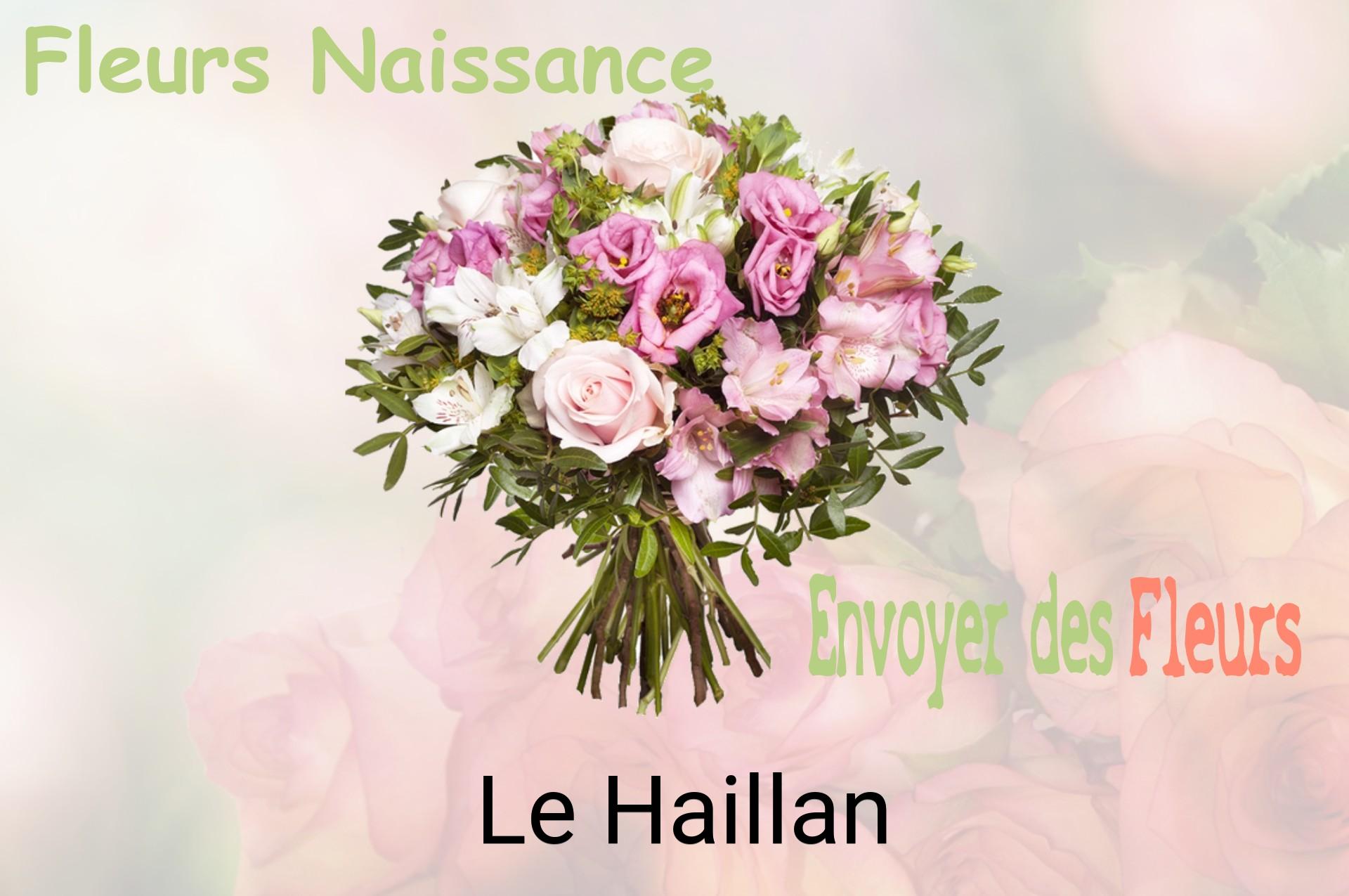 Bouquet de fleurs de naissance livré à Le Haillan